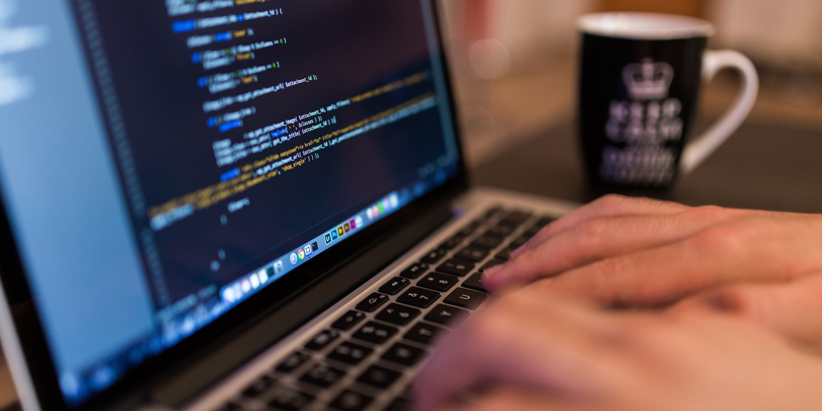 What should a developer’s portfolio contain? Find out!