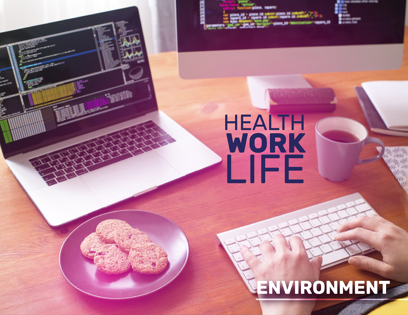 Mahisoft:  a unique work environment